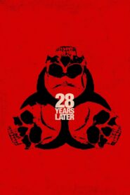 28 lat później